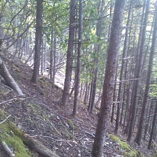 140922_p25.jpg
