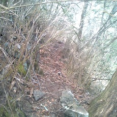 150429_p19.jpg