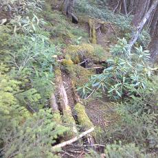 150522_p22.jpg