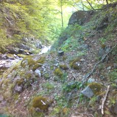 150523_p15.jpg