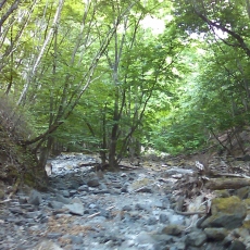 150605_p11.jpg