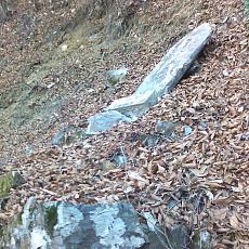 160109_n02.jpg