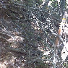160603_p05.jpg