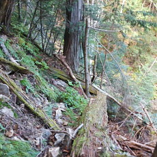 161015_p24.jpg