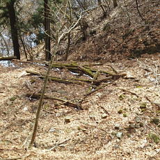 170304_p07.jpg