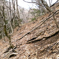 190427_p04.jpg
