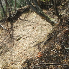 190505_p36.jpg