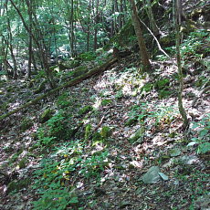 200605_p23.jpg