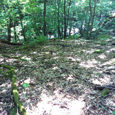 200605_p25.jpg