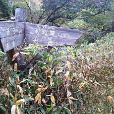 201004_p02.jpg