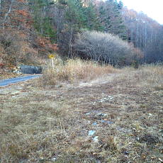 201117_p15.jpg