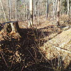 201117_p29.jpg