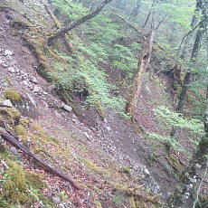 210522_p37.jpg