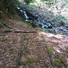 220528_p13.jpg
