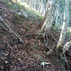 221112_p36.jpg