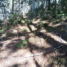 221028_p20.jpg