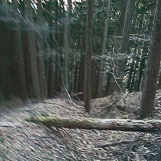 221127_p21.jpg
