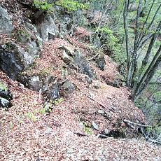 230502_p22.jpg