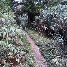 240612_p16.jpg