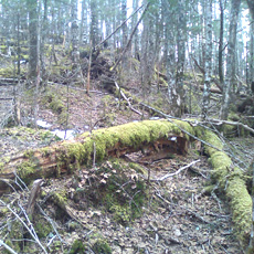 110430_p06.jpg