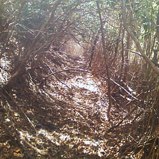 130517_p26.jpg
