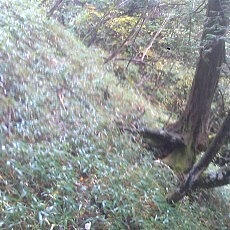 131006_p13.jpg