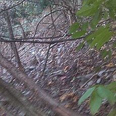131013_p03.jpg