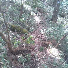 140517_p23.jpg