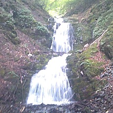 140712_p08.jpg