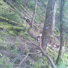 140913_p24.jpg