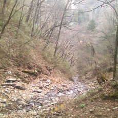 150429_p20.jpg
