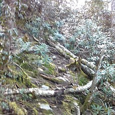150522_p06.jpg