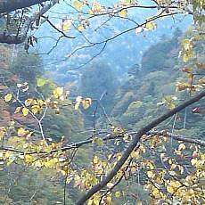 151010_p20.jpg