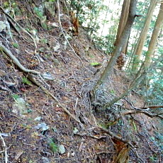 161015_p28.jpg