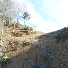 180412_p15.jpg