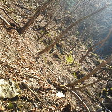 190302_p08.jpg
