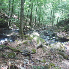 190614_p03.jpg