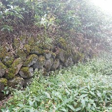 190921_p10.jpg