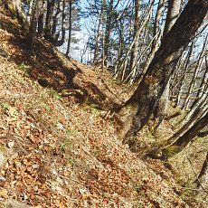 191104_p12.jpg
