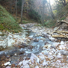 191104_p29.jpg