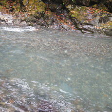 201018_p26.jpg