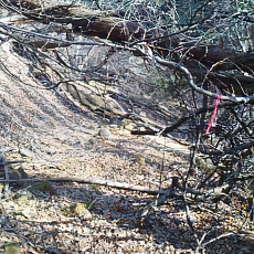 201206_p42.jpg