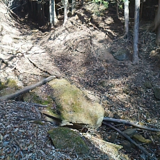 201206_p43.jpg