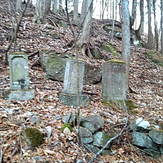 201219_p02.jpg