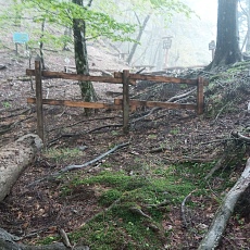 220515_p22.jpg