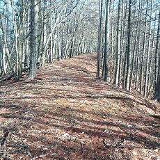 230414_p11.jpg