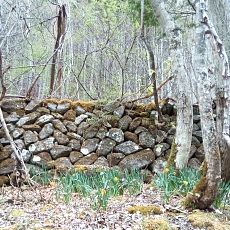 230502_p50.jpg