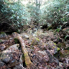 241022_p26.jpg