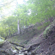 110815_p10.jpg