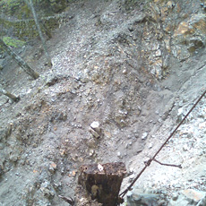 120512_p04.jpg